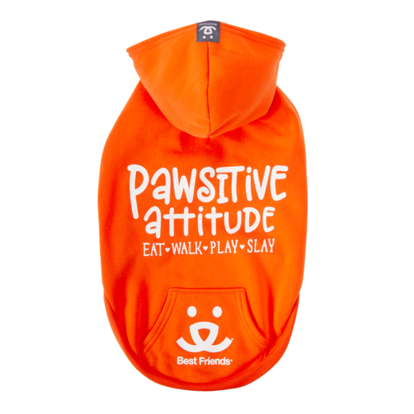 Best Friends Pawsitive Attitude Dog Hoodie - Orange, Small