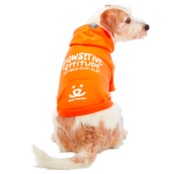 Best Friends Pawsitive Attitude Dog Hoodie - Orange, Small - Image 3