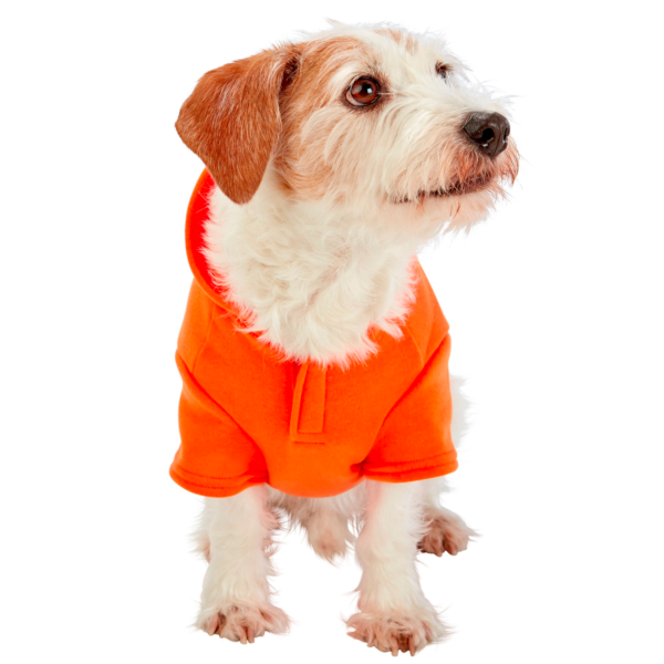 Best Friends Pawsitive Attitude Dog Hoodie - Orange, Small - Image 4